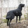 Manteau Chien polyvalent Nella - Back on Track