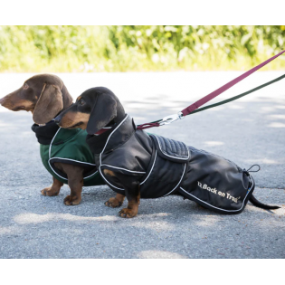 Couverture imperméable doublée pour chien Back On Track - chiens